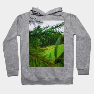 Old house in the forest Hoodie